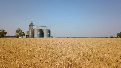 Vue aérienne d'un élévateur à grains devant un champ de blé, drone quadricoptère, caméra volant vers la farine ou l'huile