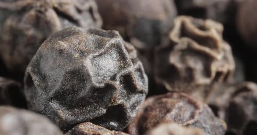 Peppercorns or black pepper spice. Super Macro Close Up.