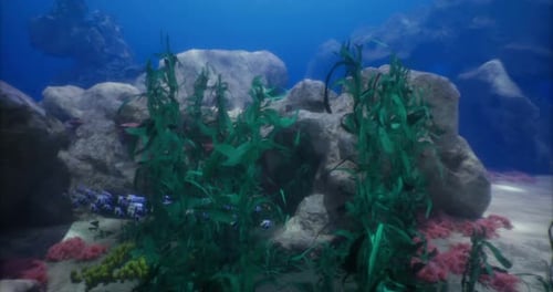 Underwater Landscape Showcasing Vibrant Sea Plants and Rocky Formations