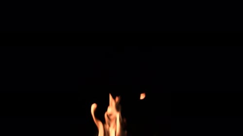 Dynamic Golden Flames Flickering on Black Background