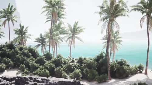 Tropical Paradise in the Bahamas with Palm Trees and Turquoise Waters