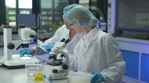 Two scientists discuss findings while examining samples. They use a microscope and a laptop. The lab