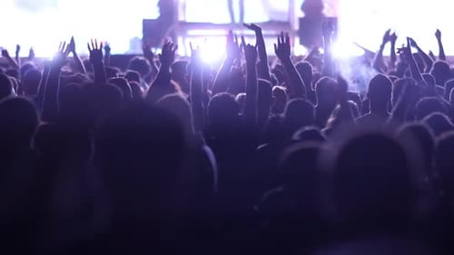 Silhouetted Concert Crowd Cheering in Colorful Stage Lights