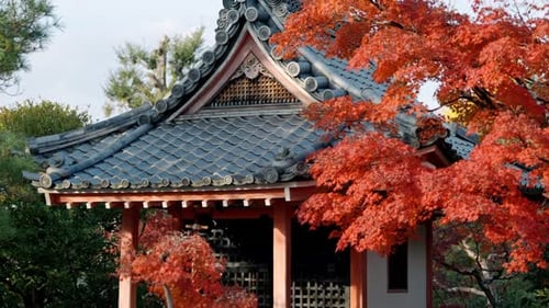Japanese temple surrounded by red autumn foliage