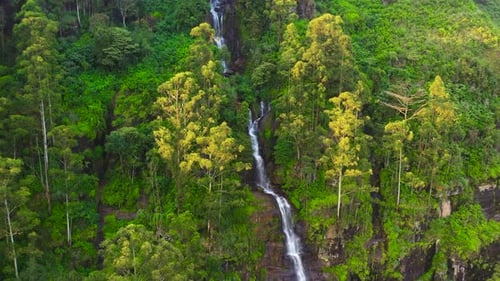 Waterfall in a Tropical Forest