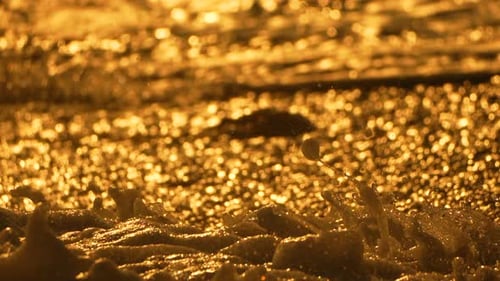 Gold Dust Surface Water River