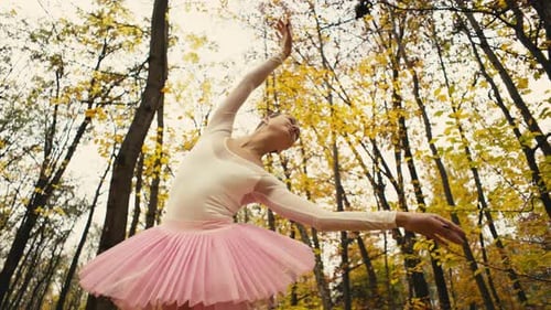 Ballerina Dances in Autumn Forest