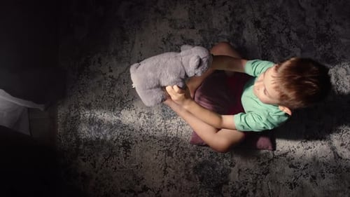 Boy Plays with Stuffed Animal Overhead View