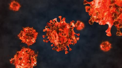 Virus
