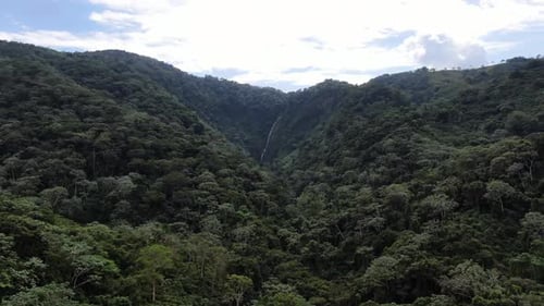 Tropical Forest Waterfall Aerial Landscape