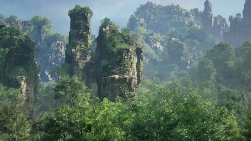 A Dense Forest with Towering Rocks and Majestic Trees