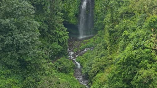 Lush Waterfall and Tropical Greenery in the Jungle