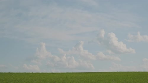Beautiful clouds in blue sky over green meadow or pasture, time lapse