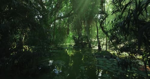 Un décor de mangrove richement texturé mettant en valeur les caractéristiques dynamiques de l'écosystème