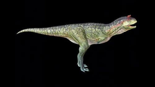 Dinosaure Carnotaurus Call Idle