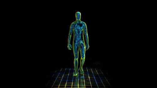 Grid Light Walker