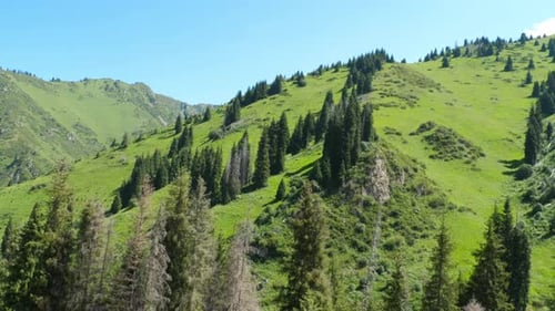 Landscape Green Mountains Summer