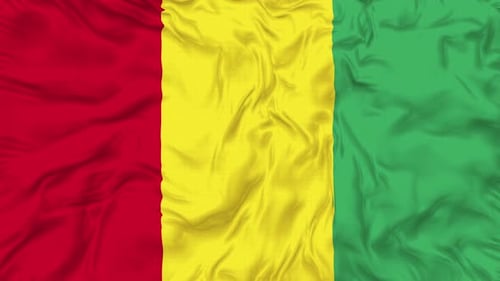 Realistic Waving Guinea National Flag Animation