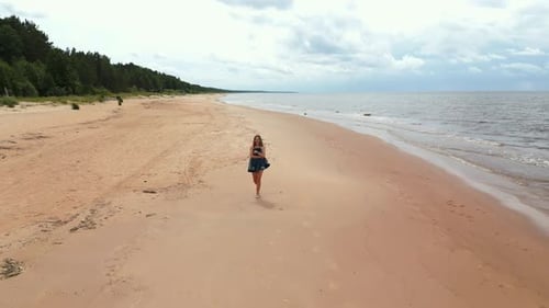 Overhead Beach Beauty Aerial View Reveals the Picturesque Scene As a Woman Walks on a Sandy Beach By