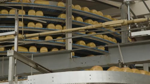 A carrousel of bread in a bread factory
