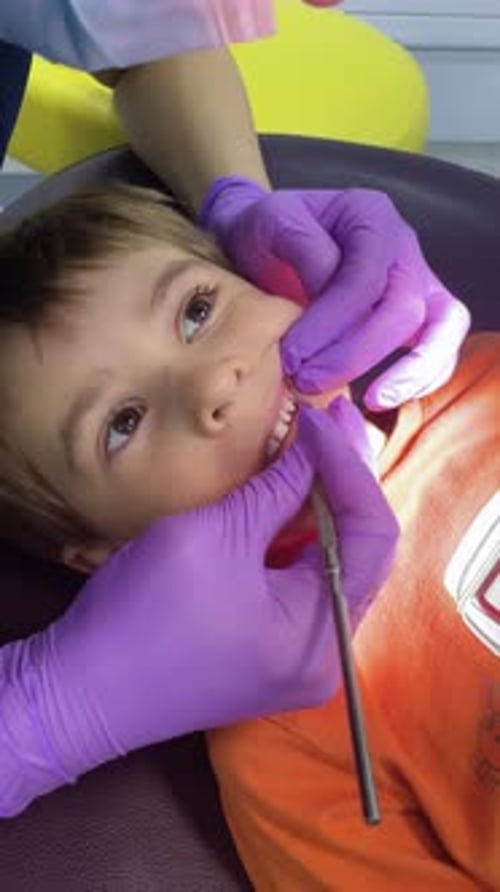 A Doctor Dentist in a Medical Mask and Purple Rubber Gloves Puts a Seal on a Little Boy Toddler