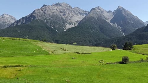 Amazing green grassland with mountains in Background in Switzerland