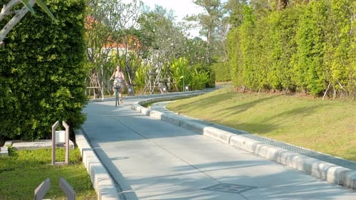 Woman Riding Bicycle on Sunny Park Pathway Surrounded By Lush Greenery