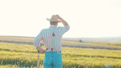 Man Agronomist Farmer in Golden Wheat Field at Sunset Male Looks at the Ears of Wheat Rear View The