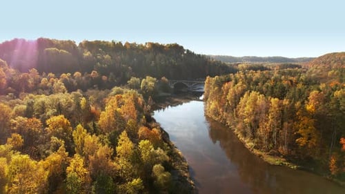 Autumn colors reflect on serene river beneath a bridge in the forest