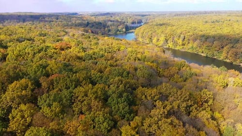 Aerial view of seasonal outdoor trees. Autumn natural sceneries landscape.