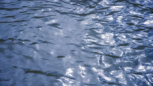 Rippling Water Reflecting Sunlight on Calm Surface
