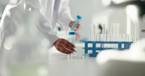 Scientist Works in Lab With Test Tubes