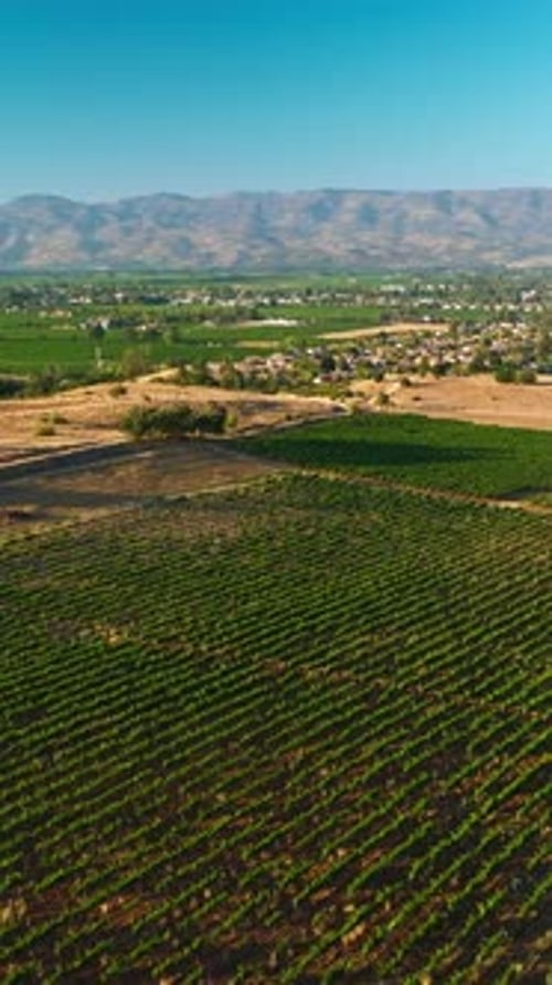 Flight over the vineyards of Sunny Napa, California, USA.