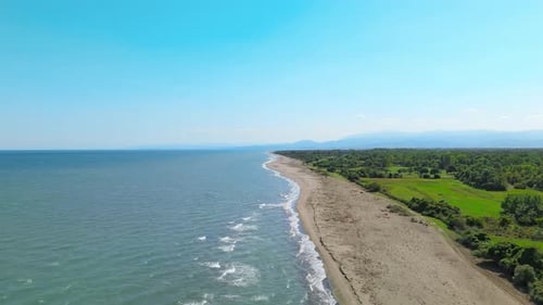 Tranquil Beachside Landscape with Vibrant Nature 4k