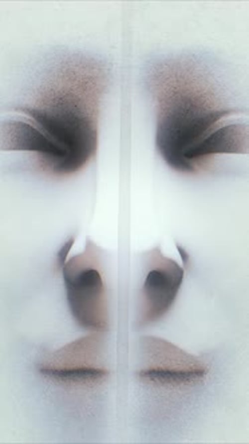 Abstract Mirrored Face Grunge Animation