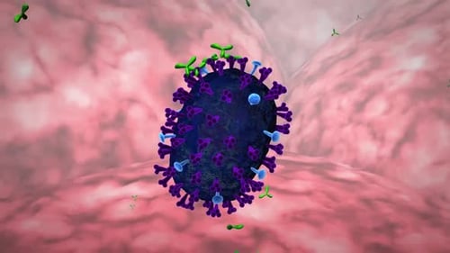 Virus Attacked by Antibodies in Medical Science Animation