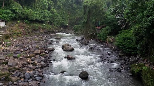 Tropische Wald-Flussszene mit fließendem Wasser, moosigen Felsen und dichten Regenwaldhängen