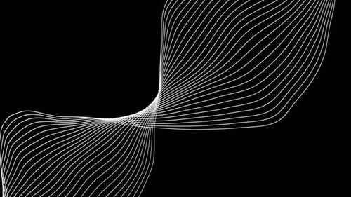 Minimalist Flowing White Lines Background Animation