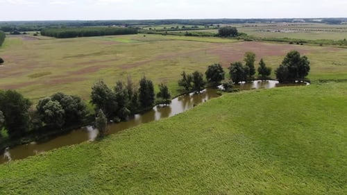 Trees On The Bank Of River With Green Meadow In Daytime. - aerial shot