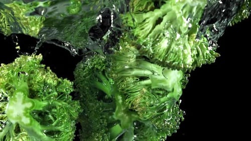 Broccoli florets splashing into fresh water, food preparation