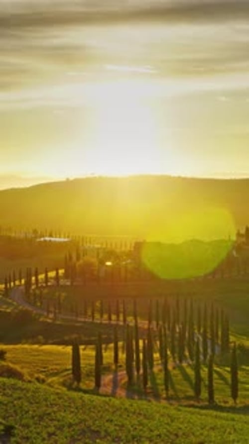 Tuscany Landscape Road Cypresses Hill Sunset