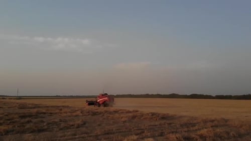 Red combine harvesting wheat at sunset in the central part of Ukraine
