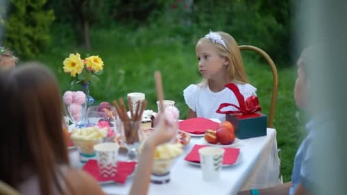 Charming Girl Talking in Slow Motion with Friends Sitting at Birthday Party in Summer Park Portrait