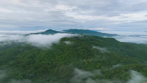 Aerial view morning scenery Mist flowing over the high mountains.