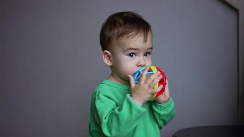 Dark-haired toddler keeping a toy at his mouth. Little baby playing with toys in the room.