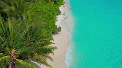Aerial Flying Over Coastline with White Sand Turquoise Water in the Thoddoo Island in Maldives