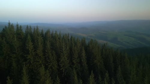 Flying Over Green Forest at Cloudy Day with the Mountains on Horizon with Glowing Clouds Carpathian