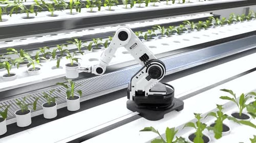 Roboterarm in einem modernen Gewächshaus