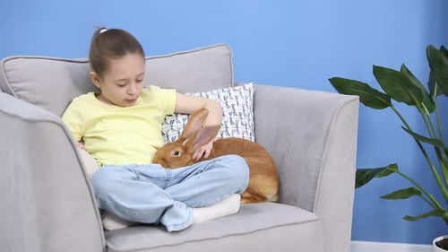 Girl on couch petting a cute brown rabbit