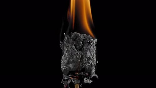 Burning Rose Flower with Intense Flames on Black